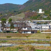 緑の中に置かれた、木箱のような住宅