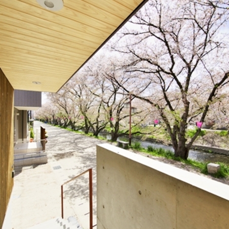 ポーチより：五条川と桜並木が建物に溶け込む。