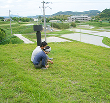 屋上・屋上緑化