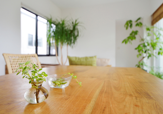 観葉植物でオーガニックなトレンド感